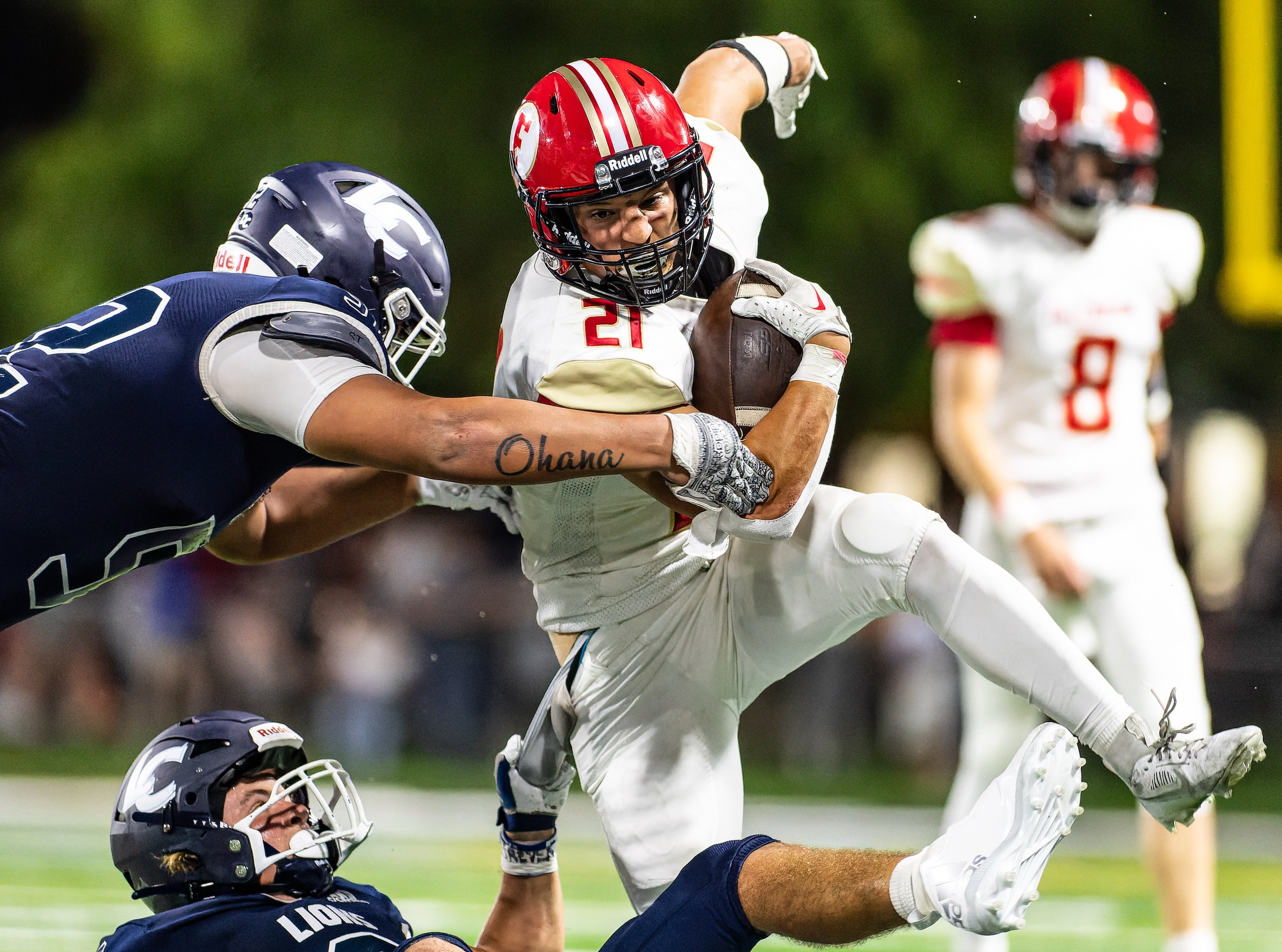The Tackle — Under the Lights